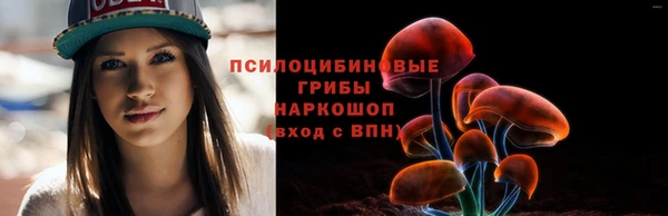 2c-b Лабытнанги