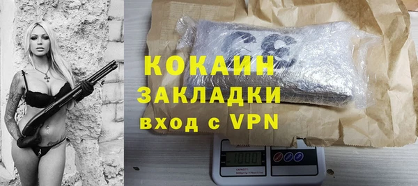 дмт Ладушкин